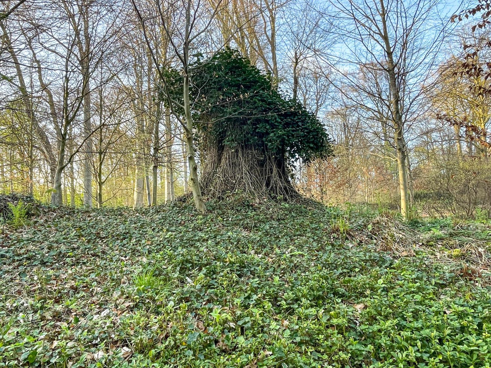 Landhaus Beim Knoops Park BRE Exteriör bild